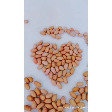 Kernels de amendoim crus comestíveis chineses com baixo preço